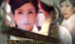 电视剧九五之尊,宫廷权谋与爱恨情仇的巅峰对决